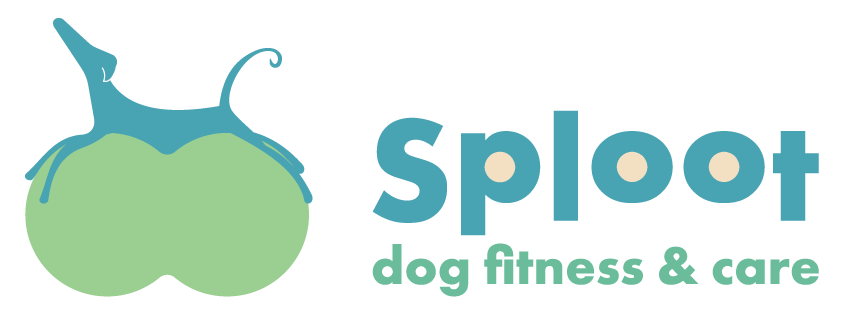 Sploot dog fitness and care